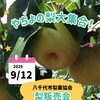 梨販売会のお知らせ🍐「よったいよ」で開催します！
