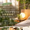 【入荷情報】　インテリアグリーン　観葉植物　間接照明　インテリアコーディネート　3Dコーディネート　家具屋長野中央店　MINIMA　【下諏訪町おしゃれ家具＆インテリアショップ】