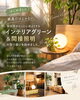 「【入荷情報】　インテリアグリーン　観葉植物　間接照明　インテリアコーディネート　3Dコーディネート　家具屋長野中央店　MINIMA　【下諏訪町おしゃれ家具＆インテリアショップ】」