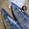 秋刀魚入荷致しました！