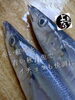 「秋刀魚入荷致しました！」