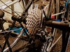 洗車・クリーニングできますよ🚲「🚲自転車の修理・レストア・ご相談・困りごとなら🔧【医大通り・修理も得意な自転車店イズモバイシクル】」