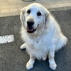 9月１４日はおやすみです