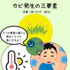 長雨や高湿度の時期に知っておきたい、畳のカビ対策と上手な付き合い方