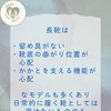 【雨の日の足元】長靴はお子さんにとって歩きやすい？知っておきたい靴選びのお話