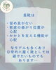 「【雨の日の足元】長靴はお子さんにとって歩きやすい？知っておきたい靴選びのお話」