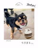「＼問題行動改善　エレベーターでの吠え🛗／」