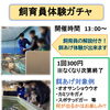 【水族館の週末イベント情報📢】飼育員体験&コチョウザメにタッチ🦈