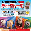 第14回フェレットチューブレース大会in東川口＆「usachimu`s!!」様POPUPイベント同時開催決定！！【9/12予約開始】