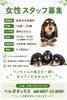 「🐶スタッフ募集🐶」