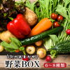 「創業74年のプロが厳選！舞鶴産の旬のおまかせ野菜BOX🥕🥬」