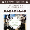 【飯田・下伊那】愛犬・愛猫との毎日をもっと楽しく！ペットお役立ち特集を公開中です