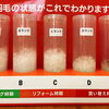 羽毛ふとんの寿命やお手入れに迷ったら。目の前で中身を見る羽毛診断