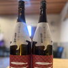 新潟の限定酒「越路乃紅梅」新入荷のご案内