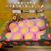 今週も大玉な桃入荷しました！