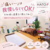 「北斗市の整体・カイロHATO｜施術中の痛みや力加減は我慢しなくてOK😊初めてでも安心のプライベート空間🕊️」