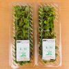 レッドソレル🌿 お料理の彩りに使えるフレッシュハーブをご紹介【観音寺市＊業務用食品＊食品卸業】