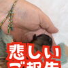 産まれてきてくれた赤ちゃんとのお別れのご報告