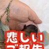 産まれてきてくれた赤ちゃんとのお別れのご報告
