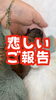 「産まれてきてくれた赤ちゃんとのお別れのご報告」