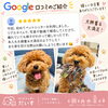 嬉しい口コミをいただきました🐾離れていても安心なお留守番を