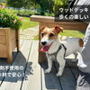 防腐剤不使用の長持ちウッドデッキで、ワンちゃんと楽しく遊ぼう！