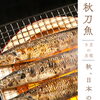 9月の主役　秋刀魚