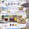 🫐🍇ブルーベリー未来セール 開催🍇🫐
