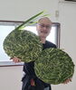 「飯能で真菰の円座作りワークショップに参加してきました」