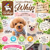 サマーキャンペーンのお礼と9月からのサロンのご案内