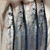 新秋刀魚入荷