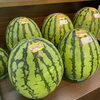 【旬の果物入荷】鳥取県産 極実すいか・極早生みかん・金沢梨 南水・秋姫プラム・マドンナの宝石｜枚方市駅直結 新鮮果実 日野屋