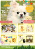 「10月4日プレオ福島店で開催！愛犬と一緒に楽しむペット撮影会とお庭の無料相談会」