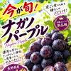 秋の味覚続々❣️更に続きます❣️