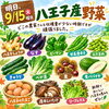 明日、9/15 火曜日　八王子産野菜　あります。この時期、どこの農家さんも収穫量が減る端境期ですが頑張って集めました。注目は栗、原木しいたけ、青パパイヤ、枝豆、八王子しょうが！夏野菜はもうすぐ終わりですので食べ納めお願いします。