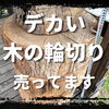 荒々しい木の輪切りが、存在感を放つ｜Nor.t.h