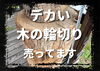 木の輪切り「荒々しい木の輪切りが、存在感を放つ｜Nor.t.h」