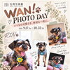 🐾 WAN！PHOTO DAY 🐾