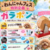 わんにゃんフェス出店のお知らせ☀️