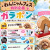 わんにゃんフェス出店のお知らせ☀️