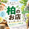 印刷部数で無駄を減らす！柏の店舗・企業に向けた小ロット販促の始め方