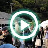 【ショート動画更新情報】9/20（土）開催！豊永ふれあい特産品まつり
