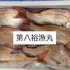 本日鮮魚入荷致しました。