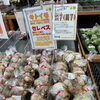 🌱秋の味覚「里芋」が入荷しています！🌱