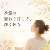 季節の変わり目に頭をゆるめて深く休む時間を