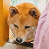 今日のお友達