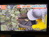 連日の取材、明日も2件です🎥「☆カラフル野菜の小山農園『Nスタ』無事にオンエア📺☆」