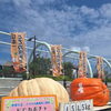 【ジャンボかぼちゃ🎃全国大会】