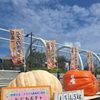 【ジャンボかぼちゃ🎃全国大会】