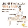 ゴルフによる痛みのメカニズム｜可動性と安定性から考える身体の負担